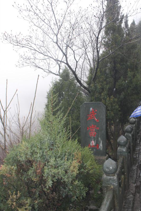 rb88随行版_首页官网入口