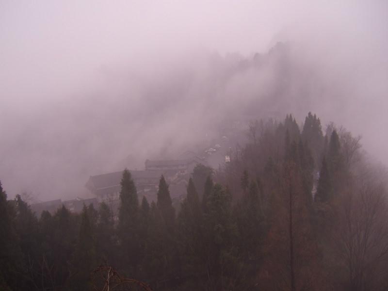 rb88随行版_首页官网入口