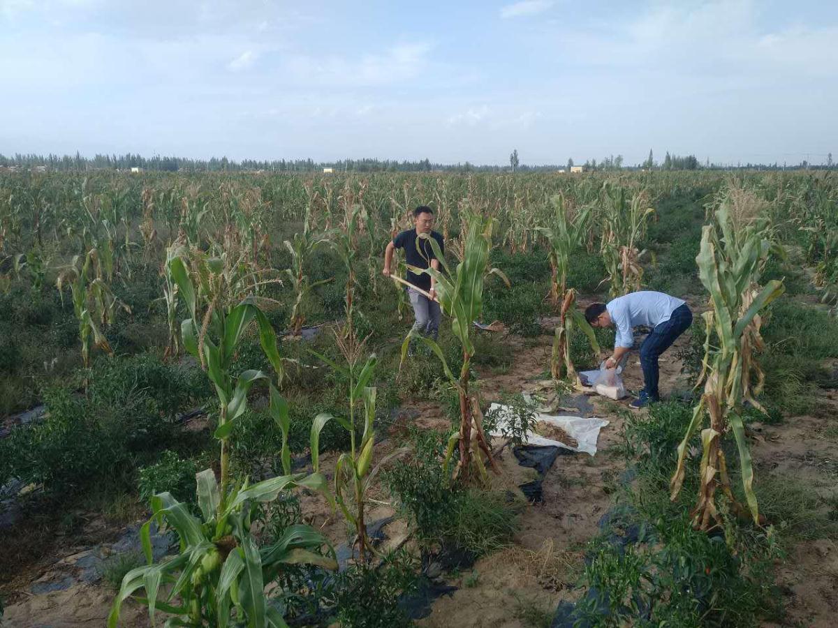 rb88随行版_首页官网入口