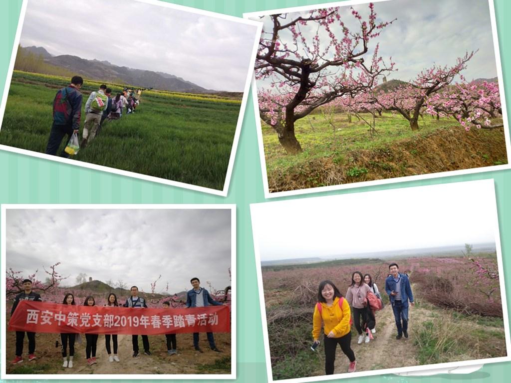 rb88随行版_首页官网入口