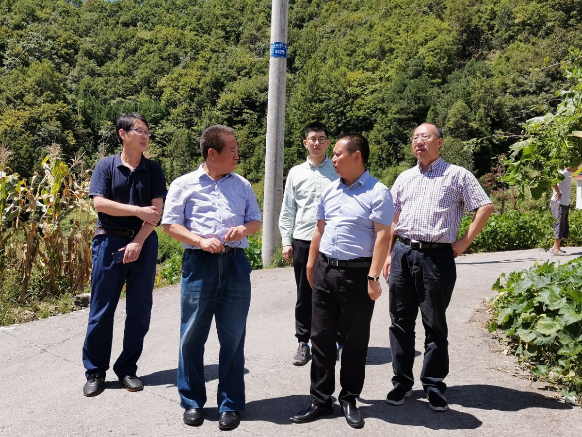 rb88随行版_首页官网入口