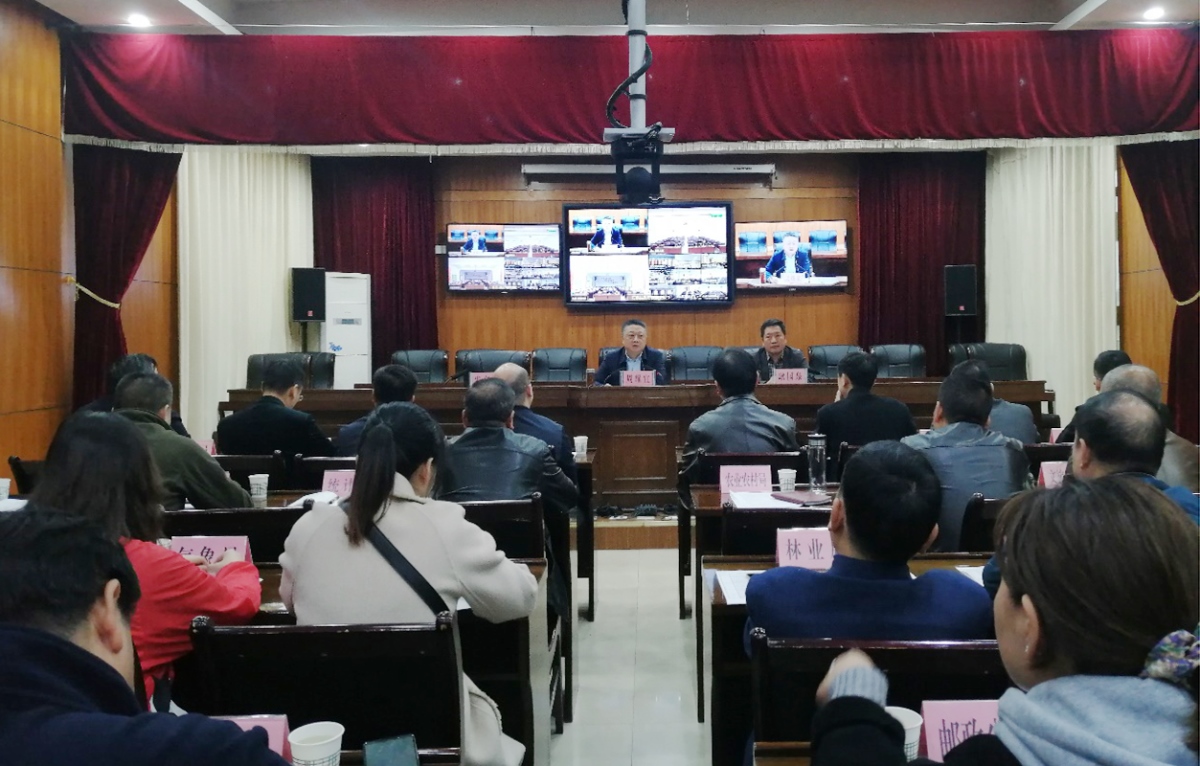 rb88随行版_首页官网入口