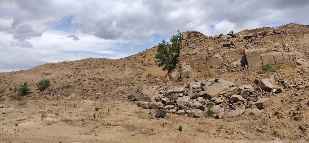 rb88随行版_首页官网入口