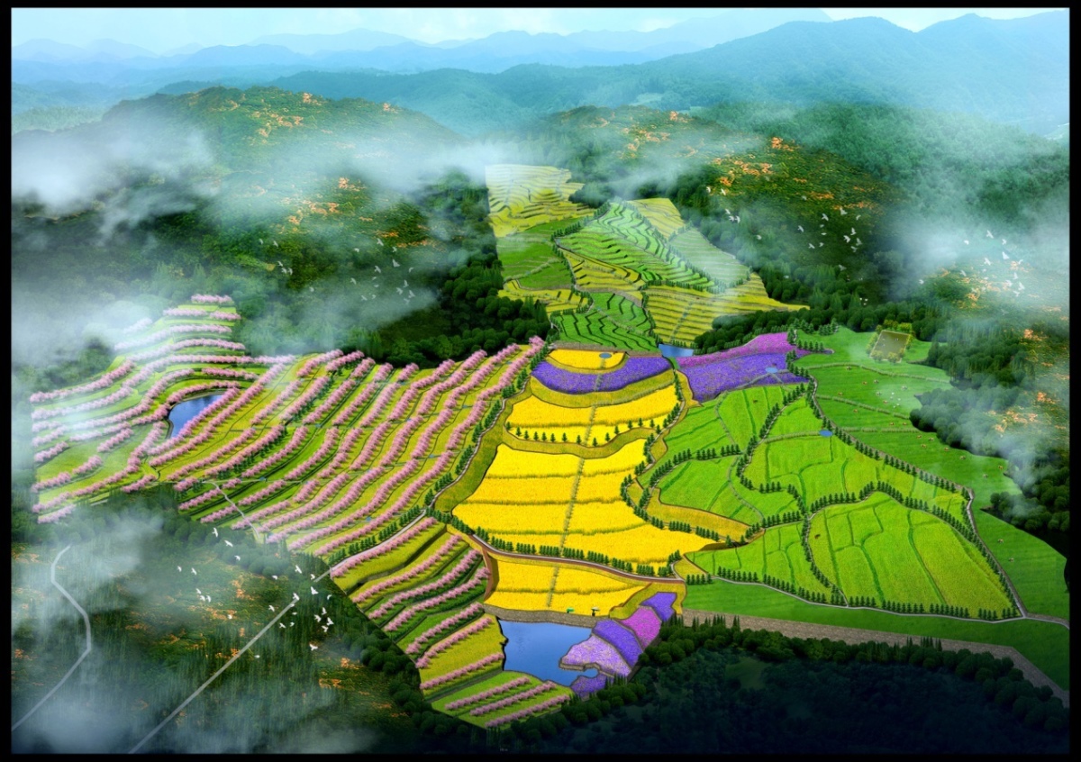 rb88随行版_首页官网入口