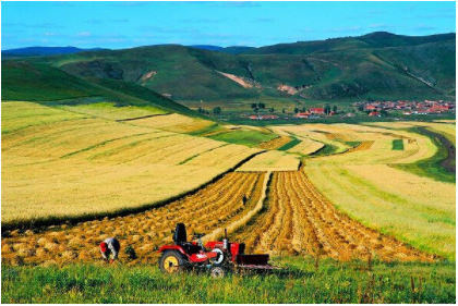 rb88随行版_首页官网入口