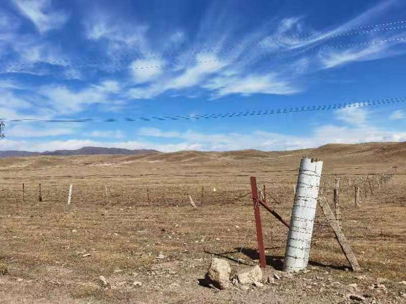 rb88随行版_首页官网入口