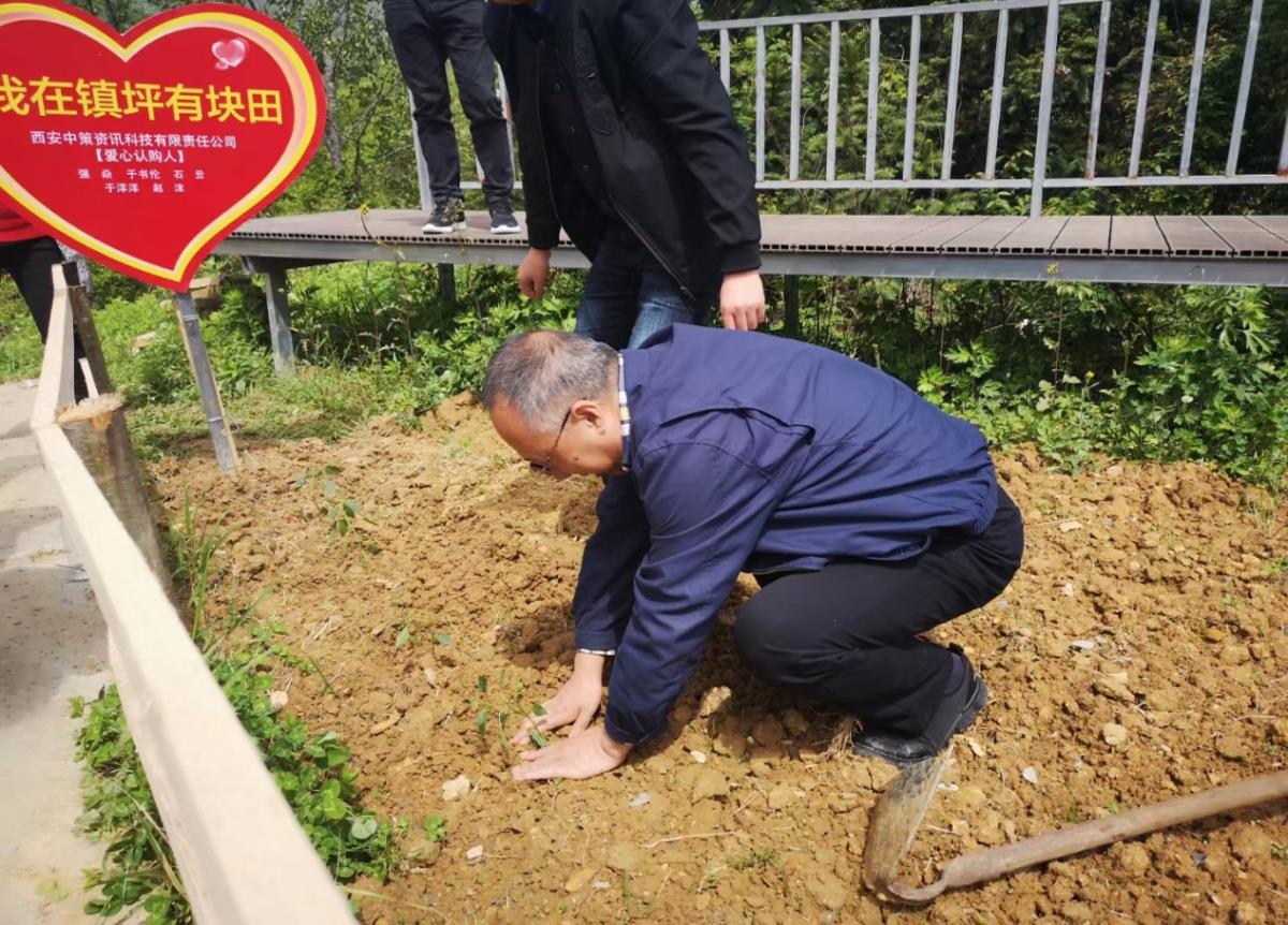 rb88随行版_首页官网入口