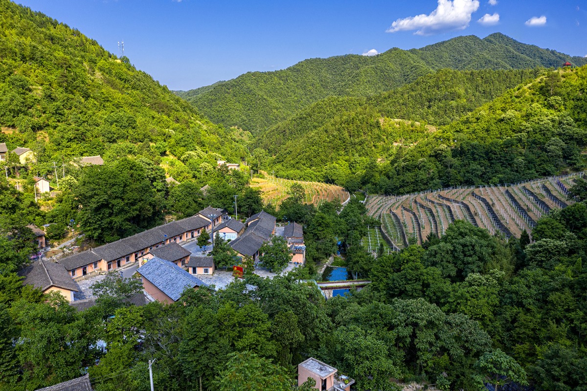 rb88随行版_首页官网入口