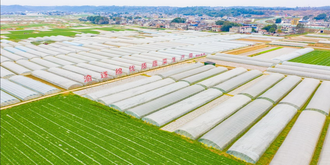 rb88随行版_首页官网入口