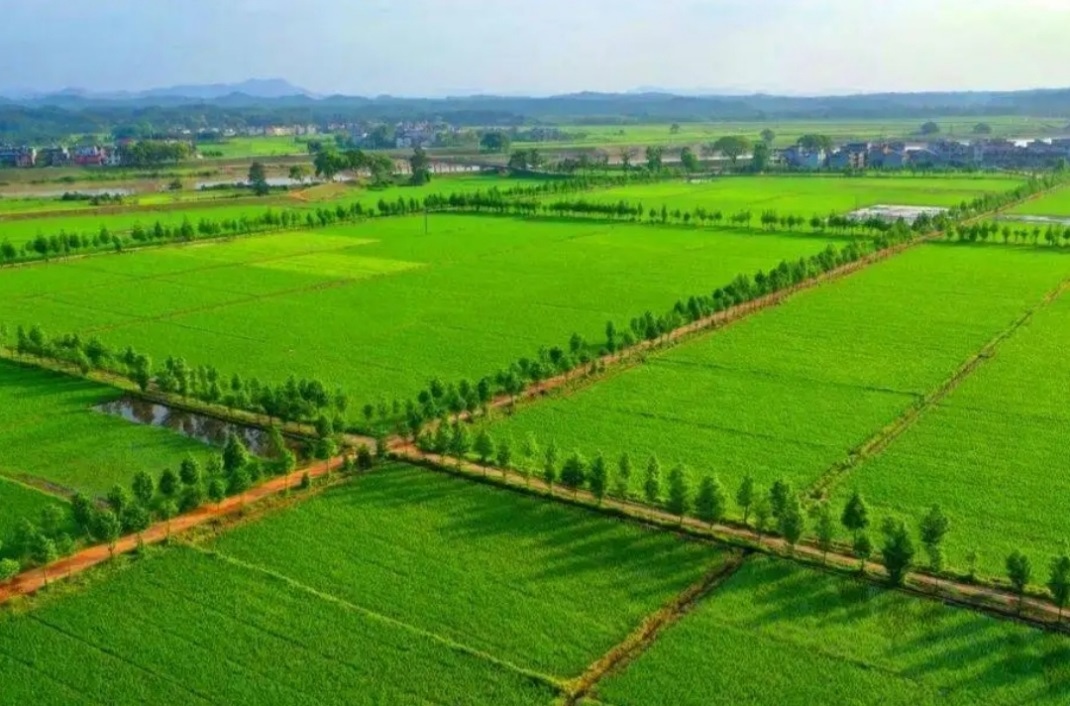 rb88随行版_首页官网入口