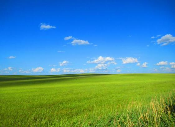 rb88随行版_首页官网入口