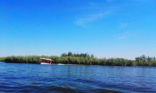 rb88随行版_首页官网入口