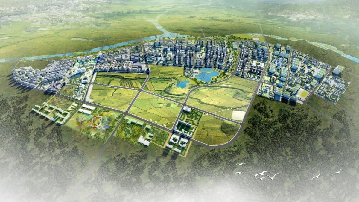 rb88随行版_首页官网入口