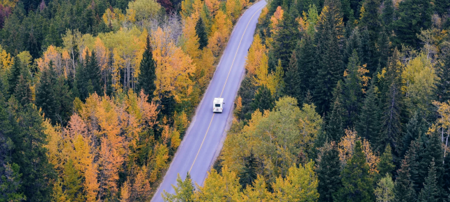 rb88随行版_首页官网入口