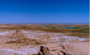 rb88随行版_首页官网入口