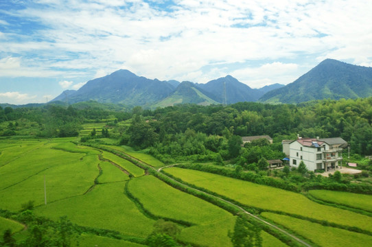 rb88随行版_首页官网入口