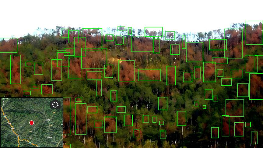 rb88随行版_首页官网入口