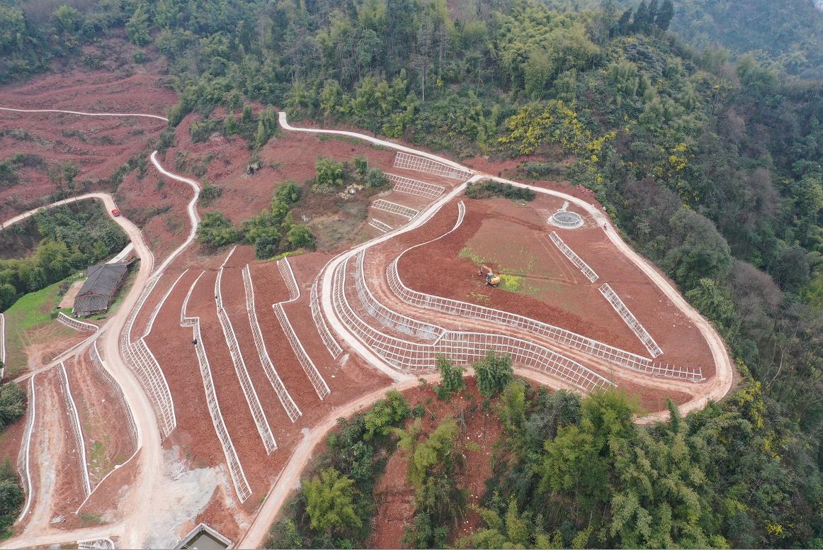 rb88随行版_首页官网入口