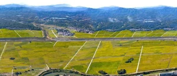 rb88随行版_首页官网入口