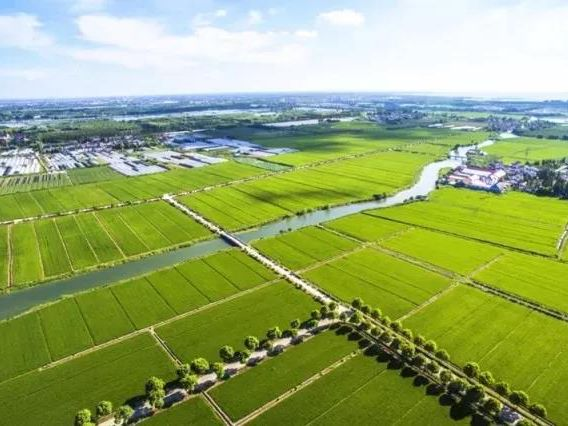 rb88随行版_首页官网入口