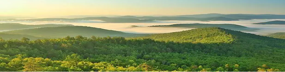 rb88随行版_首页官网入口