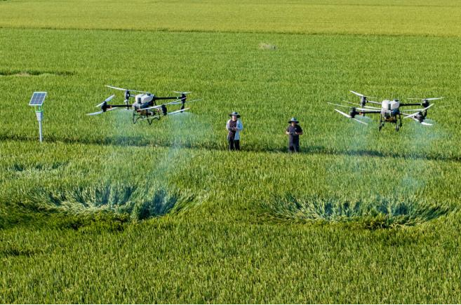 rb88随行版_首页官网入口