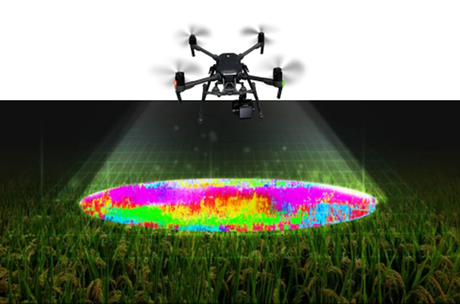 rb88随行版_首页官网入口